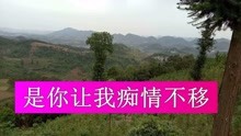  - 傷感歌曲《苦澀的愛》
