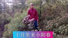  - 云南山歌：茫茫人海把你尋