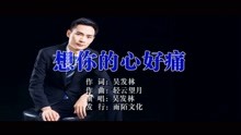 - 吳發林-想你的心好痛MTV