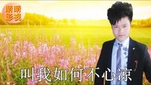  - 云南山歌：人生如夢蝶戀花