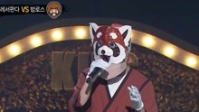  - 小熊貓 - Appearance