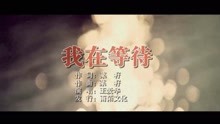 - 王愛華-我在等待MTV