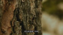  - 《七天七世紀》