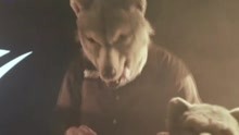 Dog Days - 現場特輯