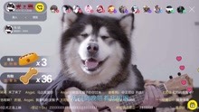  - 《你對我最好》-馬達