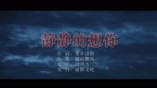  - 劉洪杰-靜靜的想你MTV