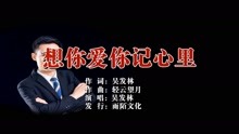  - 想你愛你記心里