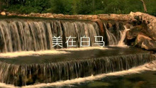  - 美在白馬-達娃卓瑪
