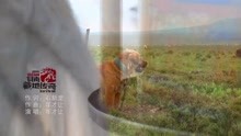  - 藏地傳奇-年才讓 漢語