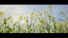  - 李浪浪 - 不配我眷戀