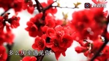  - 太傷感！你聽聽！