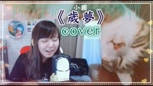  - 【魚乾】Cover一首晚安