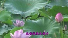  - 經典情歌