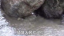  - 云南山歌祝你四季發大財