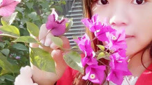 - 云南山歌：還是家鄉好