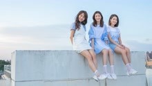  - ALL-RANGE - 櫻花草
