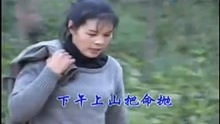  - 山歌劇丈母娘風流害全家