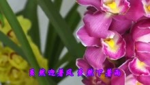  - 一首《大約在冬季》