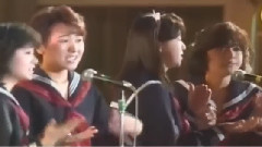 セーラー服を脫がさないで