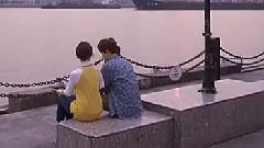 何以愛情