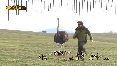 Yuri新綜藝 Animal 預告