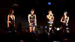 Twin Towers Alive 2013 Park Bom Surprise Birthday Wish