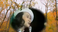 楓葉情