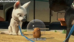 <超級零零狗> Rhino與Bolt初識Cut