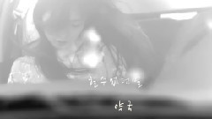 沒能說出口的話