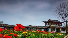 微動雙橋 風光延時攝影