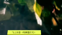 荊棘里的花 MTV版
