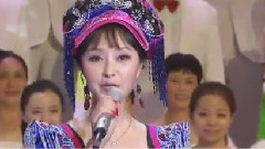 遠方的客人請你留下來