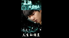 2014王源慶生星源解放碑LED應援三