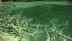 山靜水流開畫景