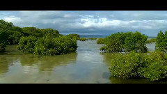 碧海青天-美麗的海洋世界