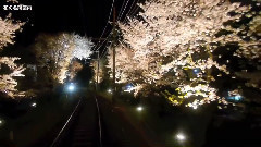 岡拉梅朵
