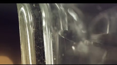 The Brat Park 預告