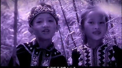 民樂群星 - 實在舍不得