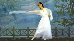 灞橋柳