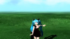 鴿子