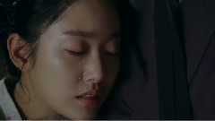 蝶兒蝶兒滿天飛