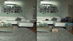 SBS Roomate 像我這樣做