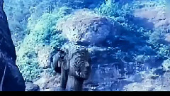 相思十誡