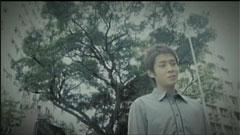 榕樹