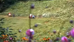 跑馬溜溜旳山上