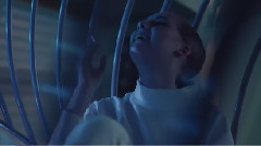 Korallreven - Limitless