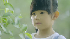 愛心樹 遍人間