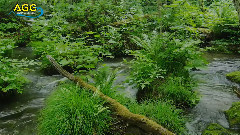 治愈的瀑布風光