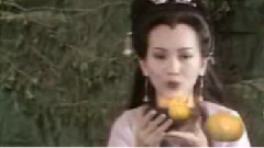 左宏元 - 渡情