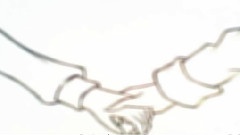 < Fate/Another World > Caster組